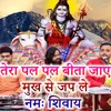 About Tera Pal Pal Bita Jaye Mukh Se Jaap Le Namah Shivay Song